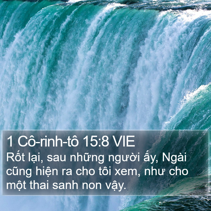 1 Cô-rinh-tô 15:8 VIE Bible Study