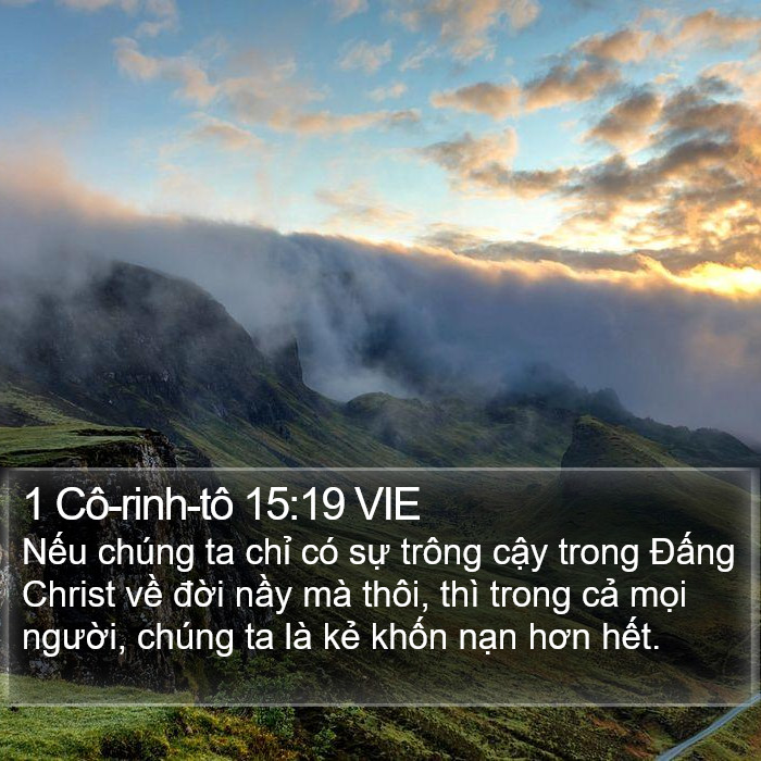 1 Cô-rinh-tô 15:19 VIE Bible Study