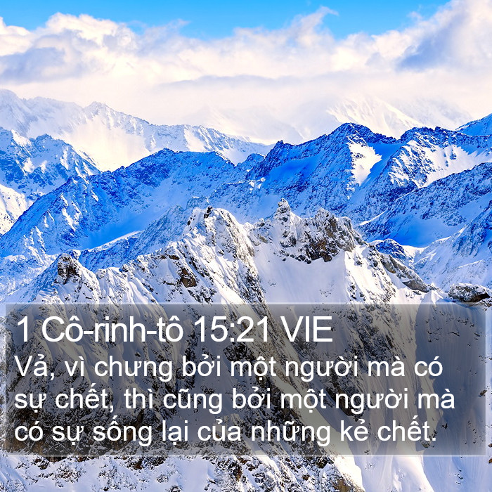 1 Cô-rinh-tô 15:21 VIE Bible Study