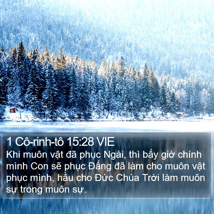 1 Cô-rinh-tô 15:28 VIE Bible Study