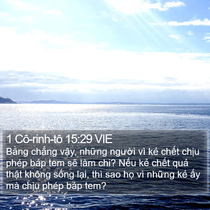 1 Cô-rinh-tô 15:29 VIE Bible Study