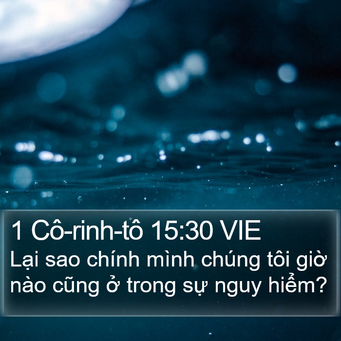 1 Cô-rinh-tô 15:30 VIE Bible Study