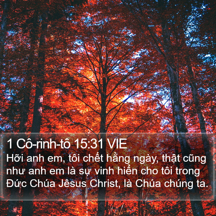 1 Cô-rinh-tô 15:31 VIE Bible Study