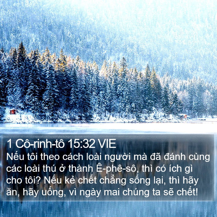 1 Cô-rinh-tô 15:32 VIE Bible Study