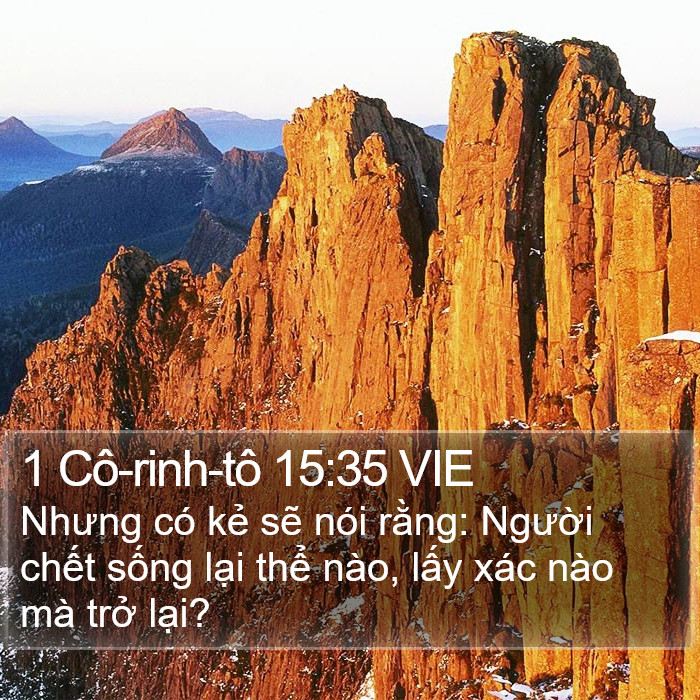 1 Cô-rinh-tô 15:35 VIE Bible Study