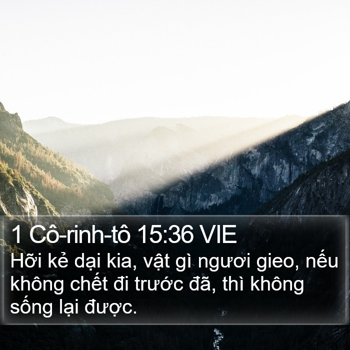 1 Cô-rinh-tô 15:36 VIE Bible Study