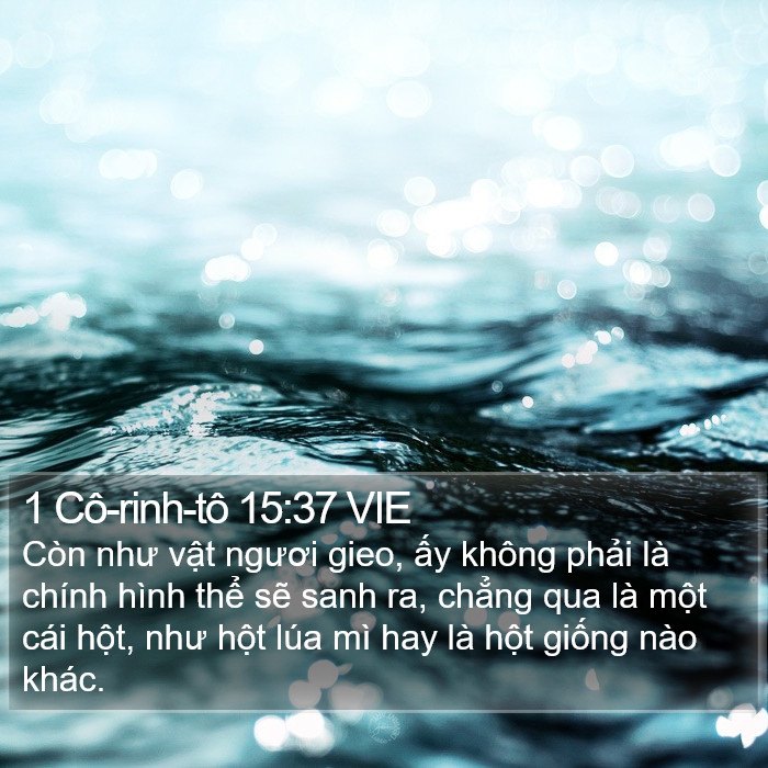 1 Cô-rinh-tô 15:37 VIE Bible Study