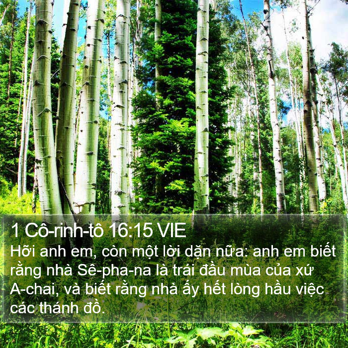 1 Cô-rinh-tô 16:15 VIE Bible Study