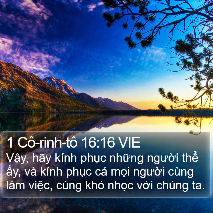 1 Cô-rinh-tô 16:16 VIE Bible Study