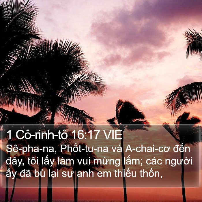 1 Cô-rinh-tô 16:17 VIE Bible Study