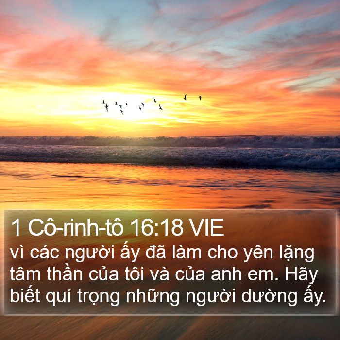 1 Cô-rinh-tô 16:18 VIE Bible Study