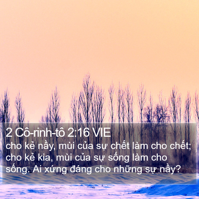 2 Cô-rinh-tô 2:16 VIE Bible Study
