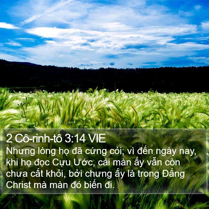 2 Cô-rinh-tô 3:14 VIE Bible Study