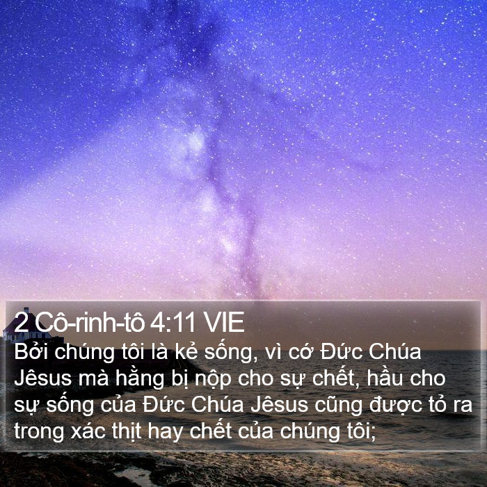 2 Cô-rinh-tô 4:11 VIE Bible Study