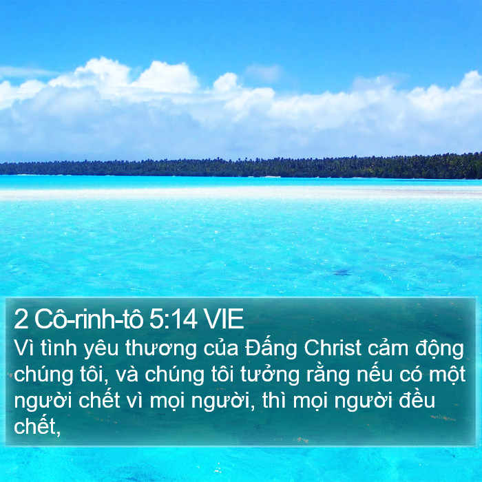 2 Cô-rinh-tô 5:14 VIE Bible Study