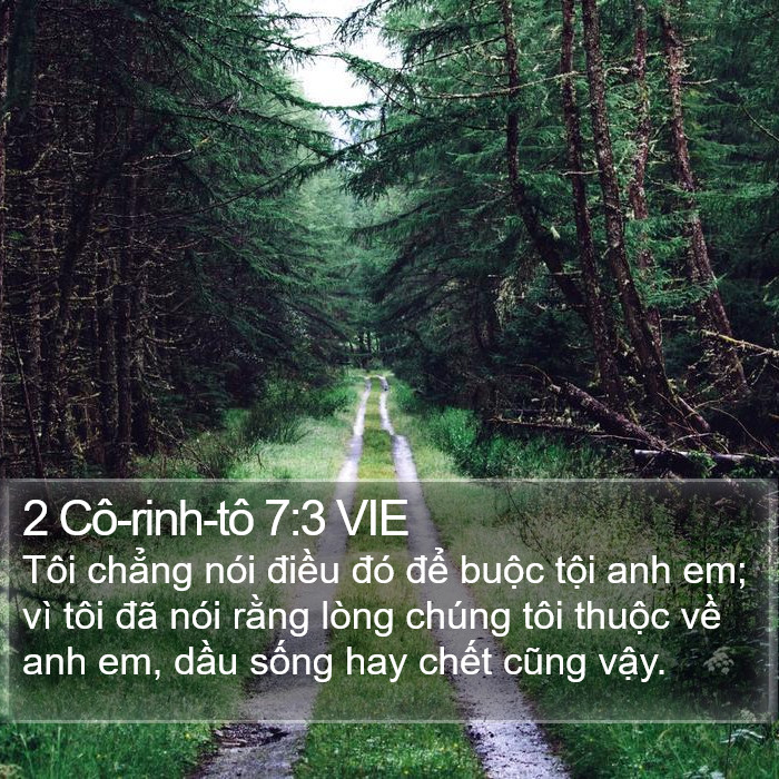 2 Cô-rinh-tô 7:3 VIE Bible Study