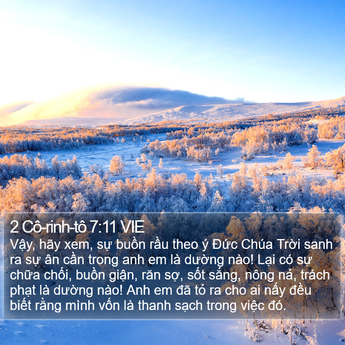 2 Cô-rinh-tô 7:11 VIE Bible Study