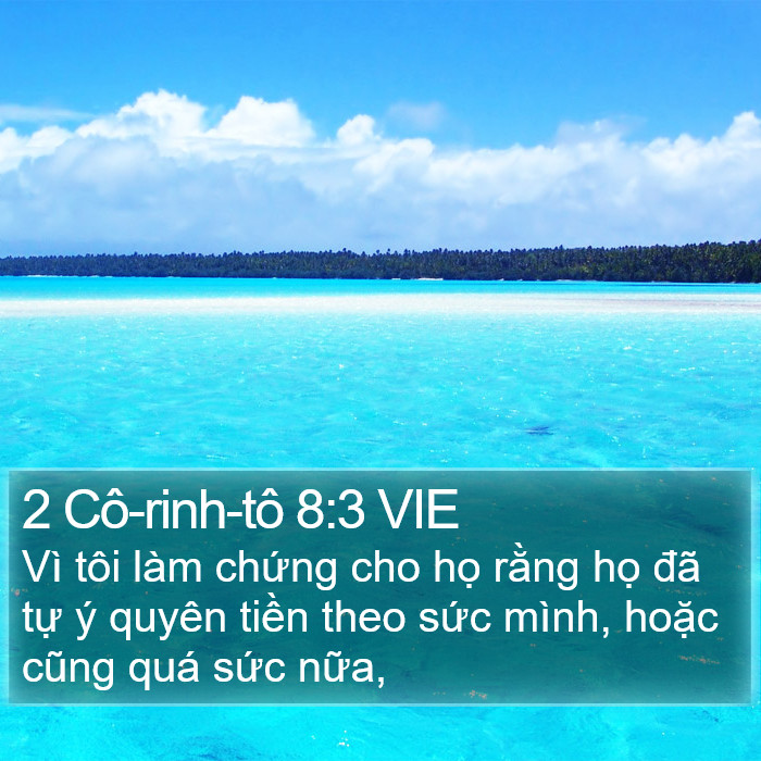 2 Cô-rinh-tô 8:3 VIE Bible Study