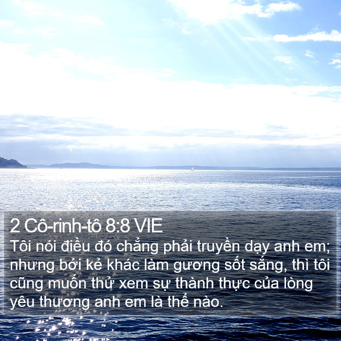 2 Cô-rinh-tô 8:8 VIE Bible Study