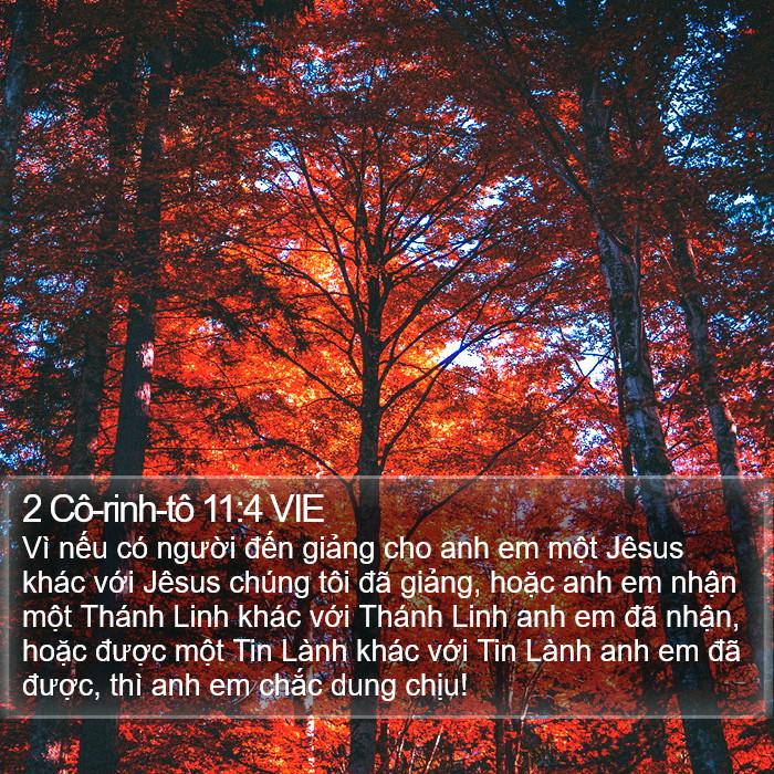 2 Cô-rinh-tô 11:4 VIE Bible Study