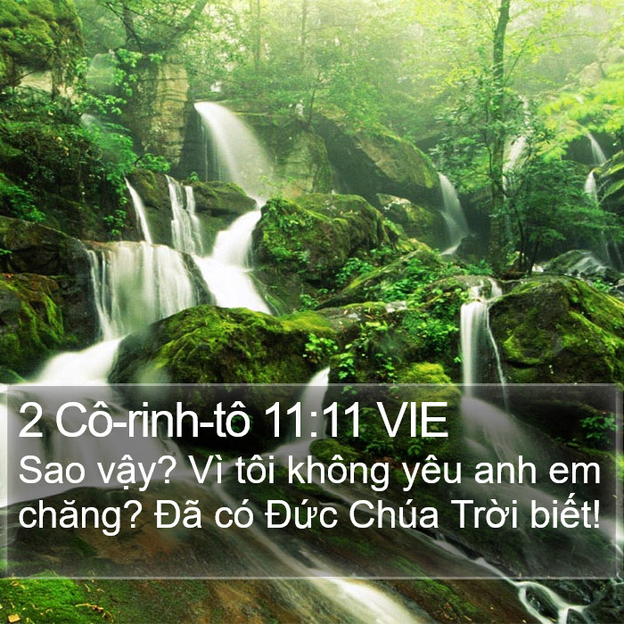 2 Cô-rinh-tô 11:11 VIE Bible Study