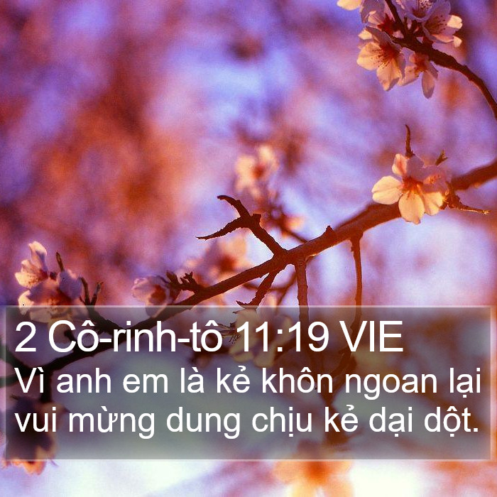 2 Cô-rinh-tô 11:19 VIE Bible Study