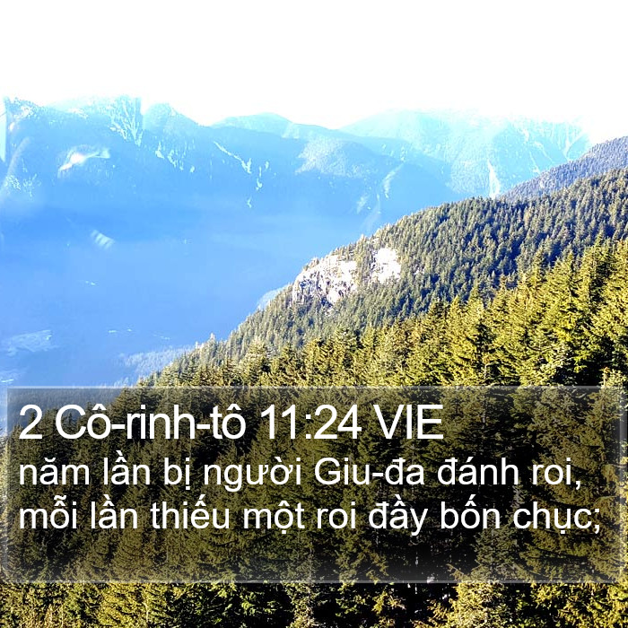 2 Cô-rinh-tô 11:24 VIE Bible Study