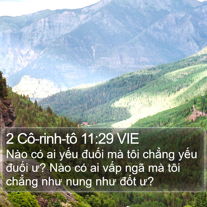 2 Cô-rinh-tô 11:29 VIE Bible Study