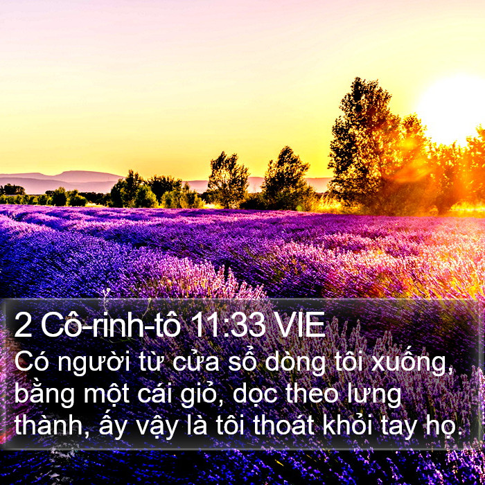 2 Cô-rinh-tô 11:33 VIE Bible Study