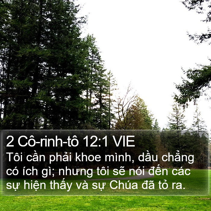 2 Cô-rinh-tô 12:1 VIE Bible Study