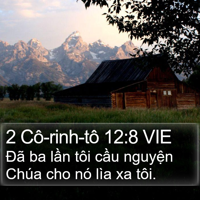 2 Cô-rinh-tô 12:8 VIE Bible Study