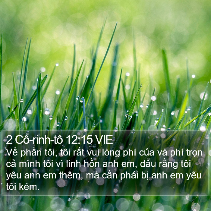 2 Cô-rinh-tô 12:15 VIE Bible Study