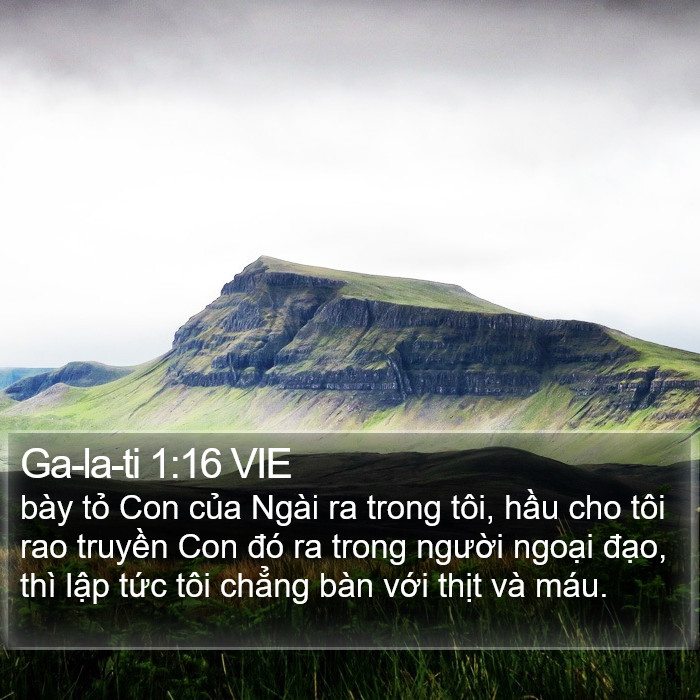 Ga-la-ti 1:16 VIE Bible Study