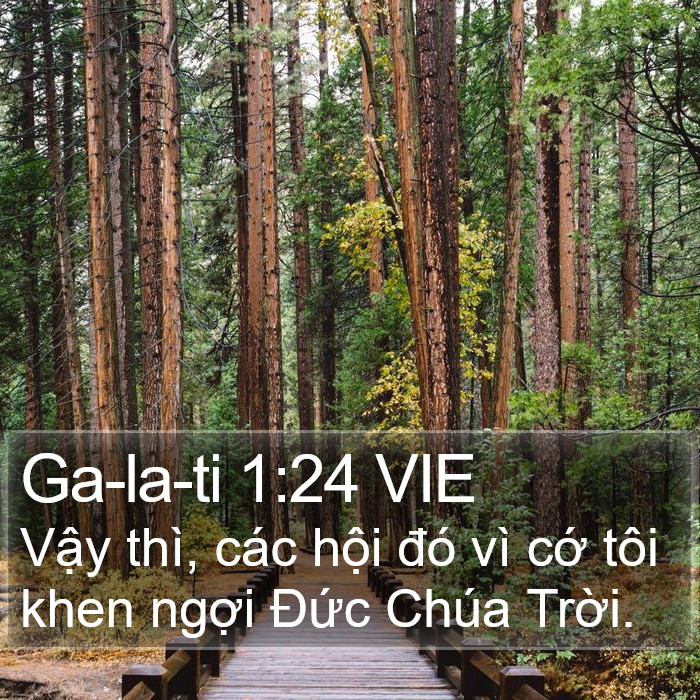 Ga-la-ti 1:24 VIE Bible Study