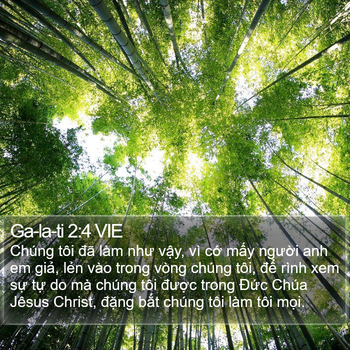 Ga-la-ti 2:4 VIE Bible Study