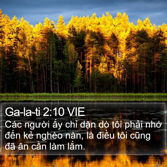 Ga-la-ti 2:10 VIE Bible Study