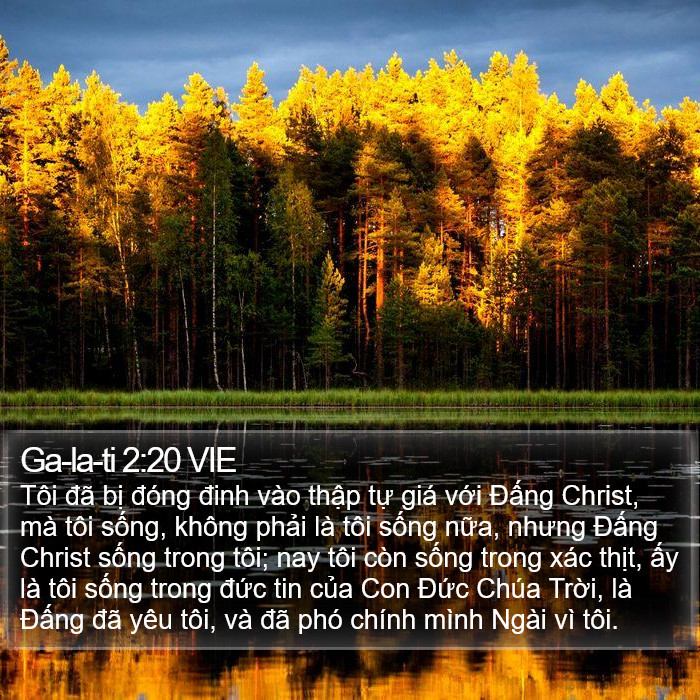 Ga-la-ti 2:20 VIE Bible Study