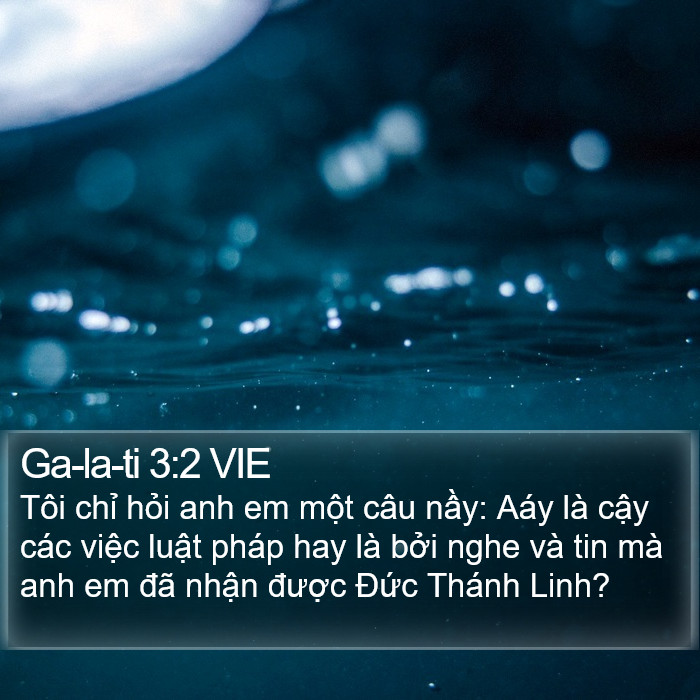 Ga-la-ti 3:2 VIE Bible Study