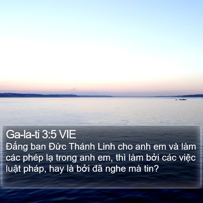 Ga-la-ti 3:5 VIE Bible Study