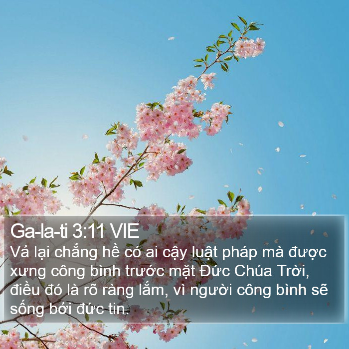 Ga-la-ti 3:11 VIE Bible Study