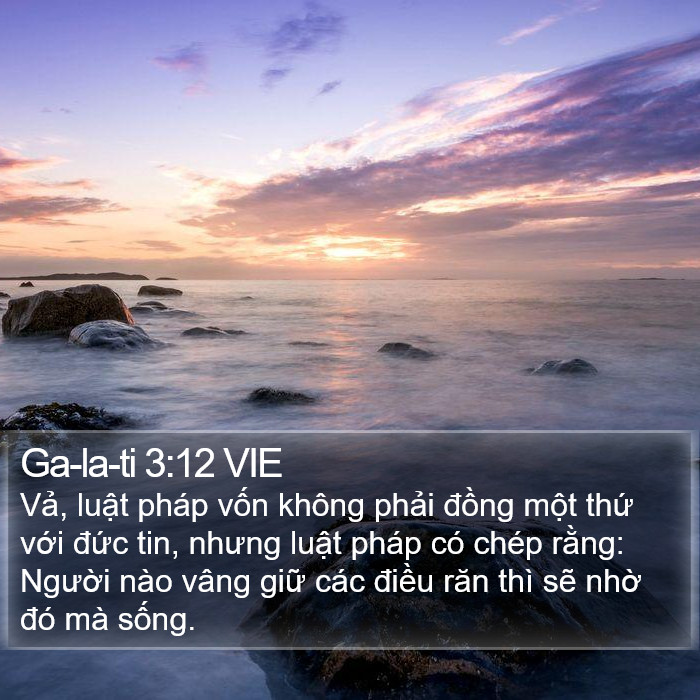 Ga-la-ti 3:12 VIE Bible Study