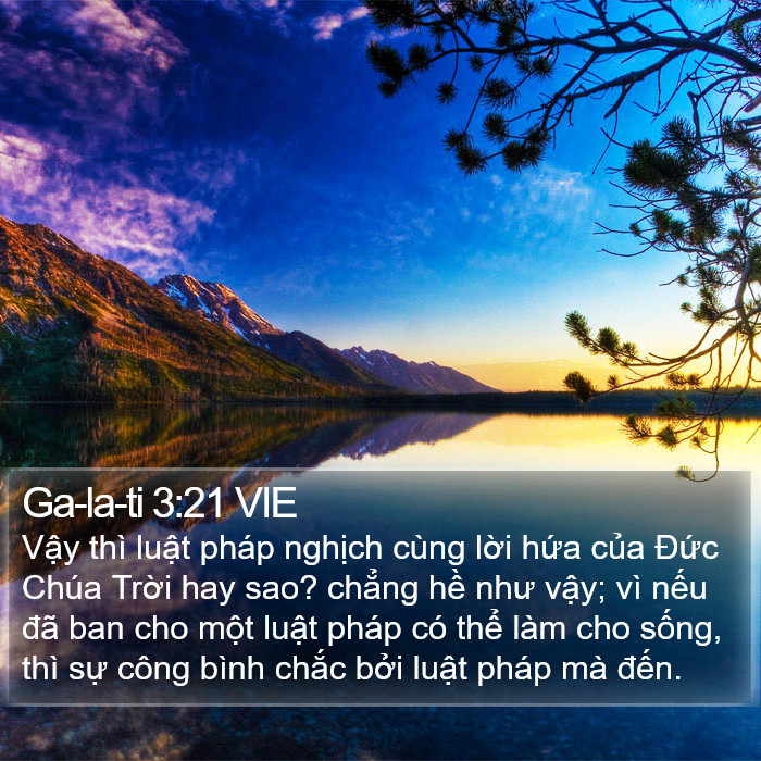 Ga-la-ti 3:21 VIE Bible Study