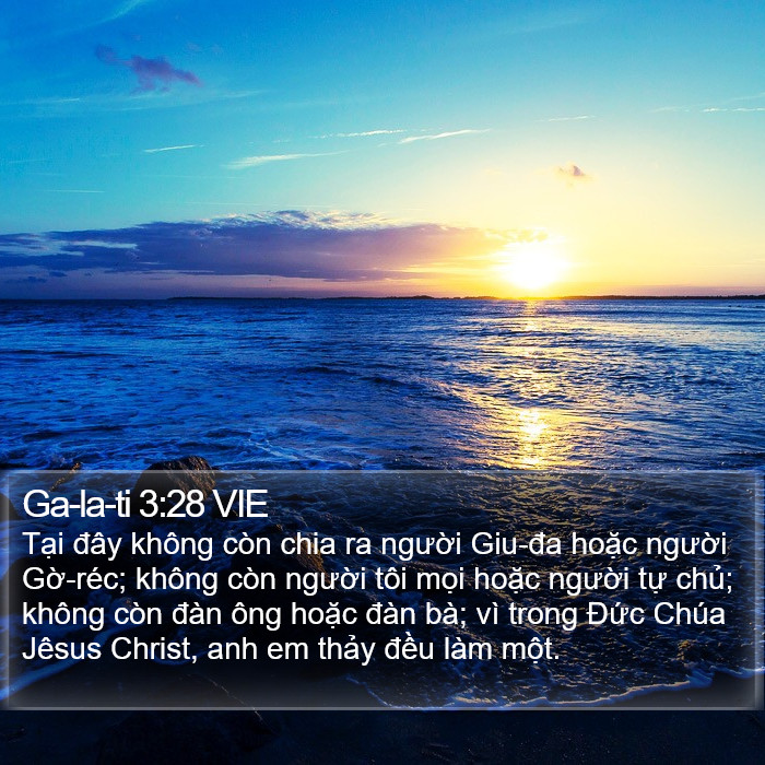 Ga-la-ti 3:28 VIE Bible Study