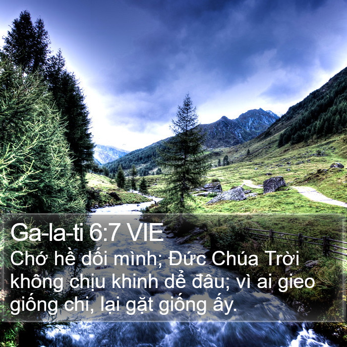 Ga-la-ti 6:7 VIE Bible Study