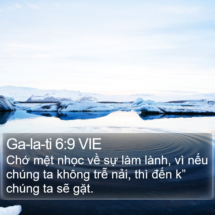 Ga-la-ti 6:9 VIE Bible Study