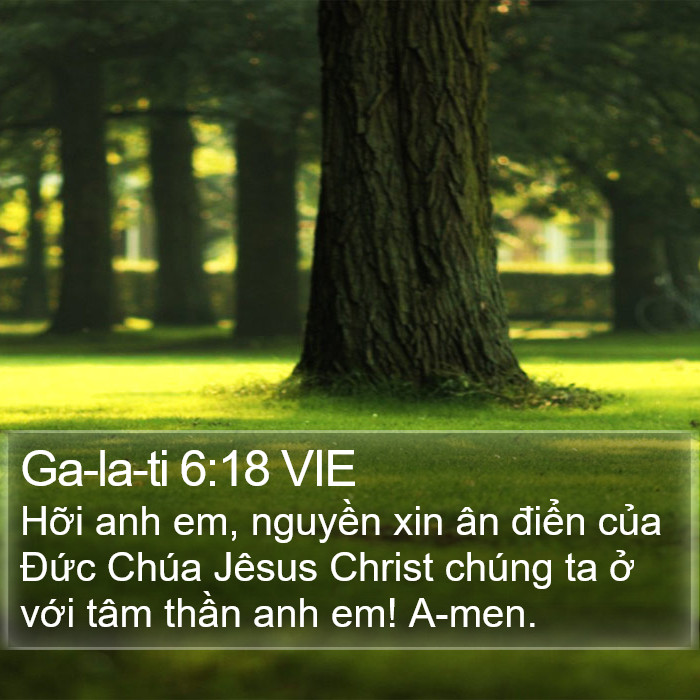 Ga-la-ti 6:18 VIE Bible Study