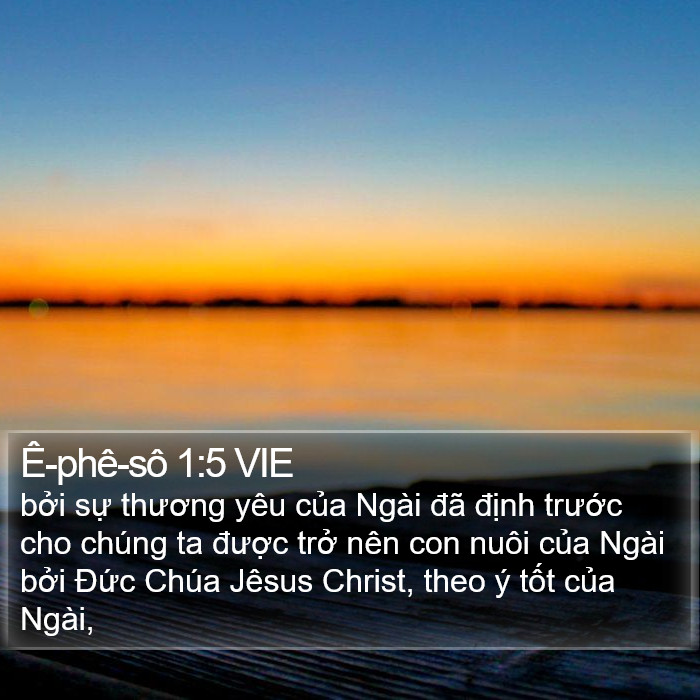 Ê-phê-sô 1:5 VIE Bible Study