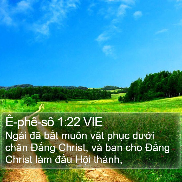 Ê-phê-sô 1:22 VIE Bible Study