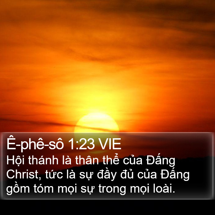 Ê-phê-sô 1:23 VIE Bible Study