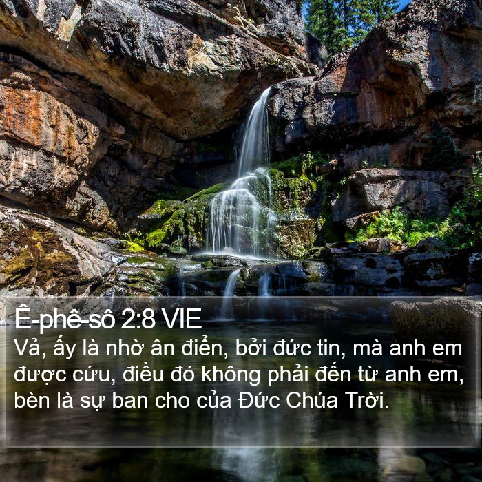 Ê-phê-sô 2:8 VIE Bible Study